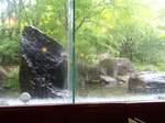 120512_111310_ed.jpg
