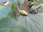 120527_182602.jpg