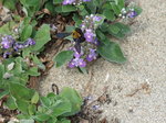 DSCF1134.JPG