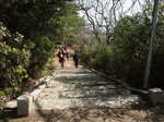 DSCF1658.JPG