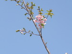 DSCF1673.JPG