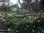 DSCF1716.JPG