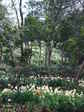 DSCF1721.JPG