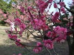 DSCF4002.JPG