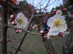 DSCF4004.JPG