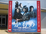 kamome2