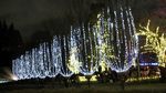 IMG_3319.JPG