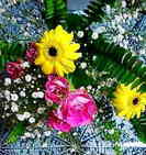 photo.jpg