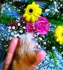 photo.jpg