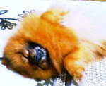 photo.jpg