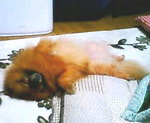 photo.jpg