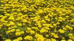 090510_120552_ed.jpg
