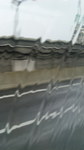 090801_100523.jpg