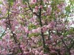 100406_082722.jpg