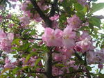 100406_082755.jpg