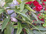 100406_083040.jpg