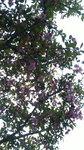 110407_180224.jpg
