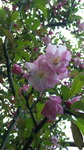 110407_180413.jpg