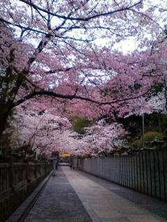 201104081233.jpg