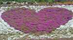 110506_115052_ed.jpg